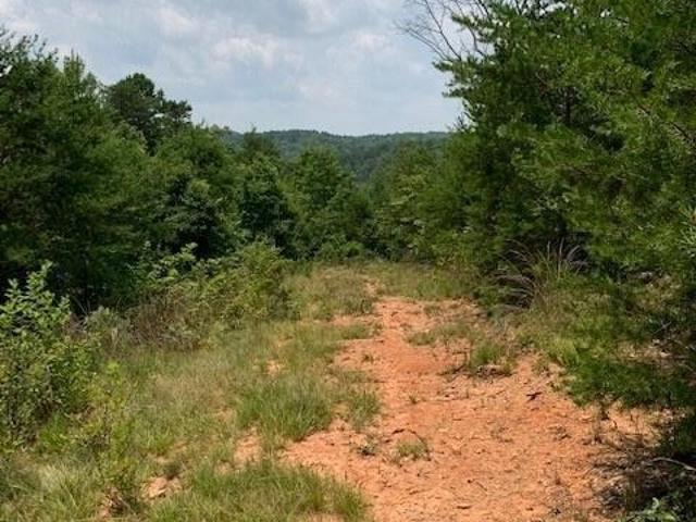 Land for sale in Clarkesville, Georgia