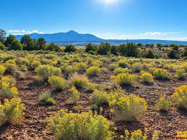 Land for sale in Mancos, Montezuma County