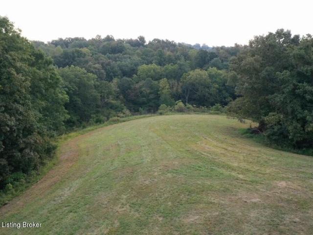 Land for sale in Willisburg, Washington County