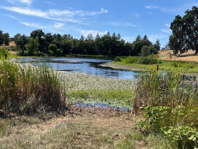 Farm for sale in Plymouth, California