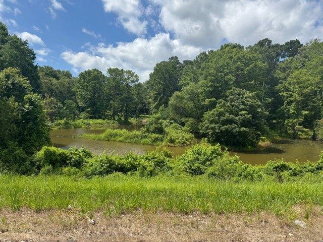 Land for sale in Many, Louisiana
