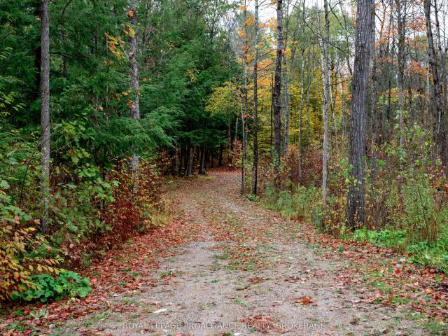 Land for sale in Ontario