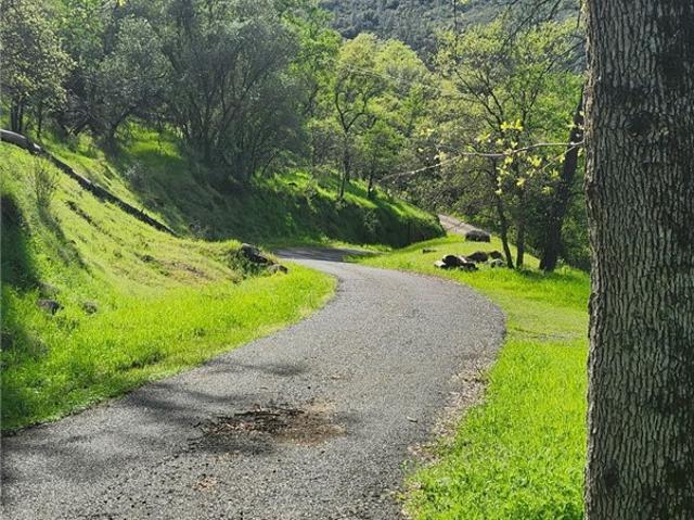 Land for sale in Butte, California