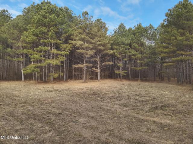 Land for sale in Maben, Mississippi