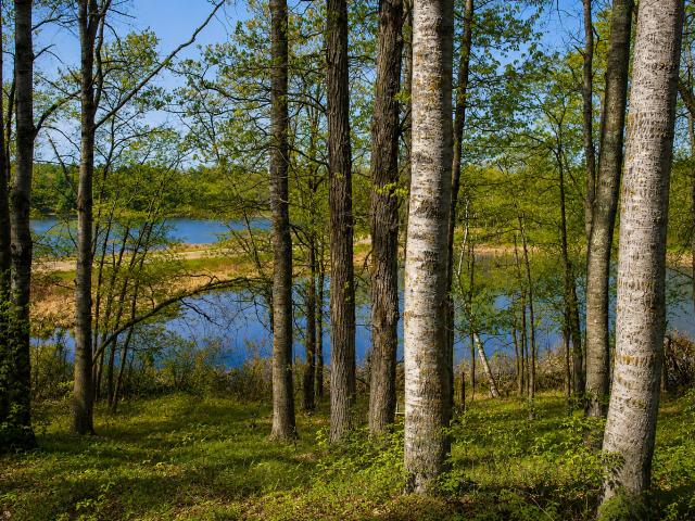 House for sale in Pillager, Minnesota