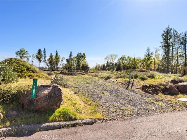Land for sale in Butte, California