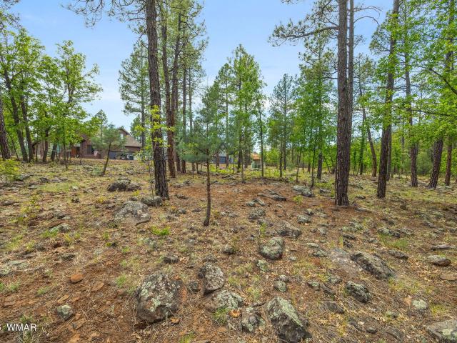 Land for sale in Navajo, Arizona