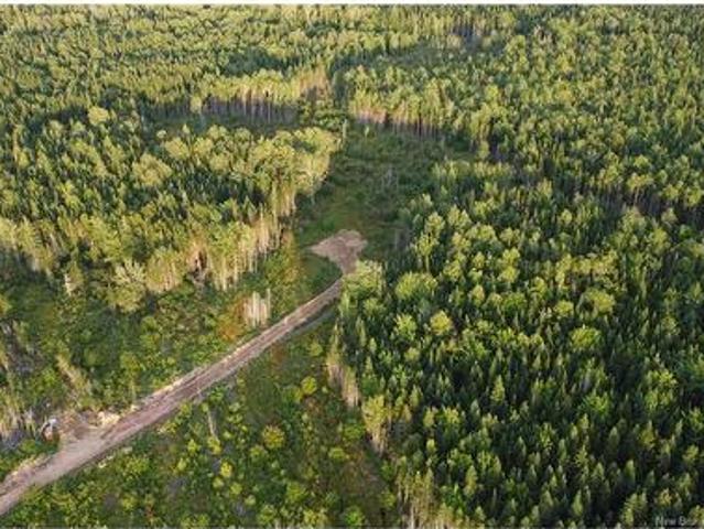 Land for sale in Canaan Station, New Brunswick