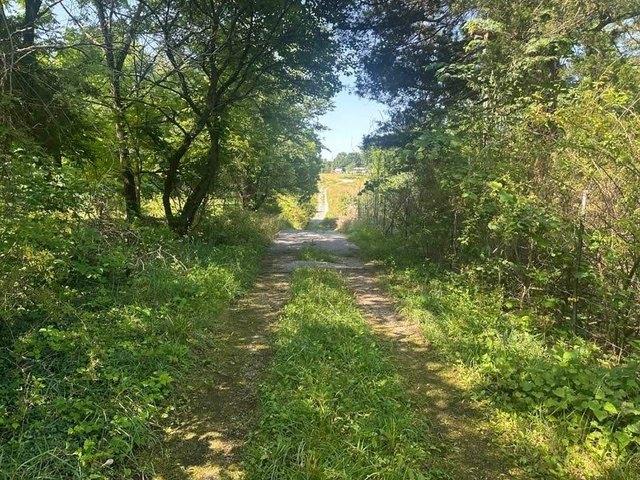 Land for sale in Green, Kentucky