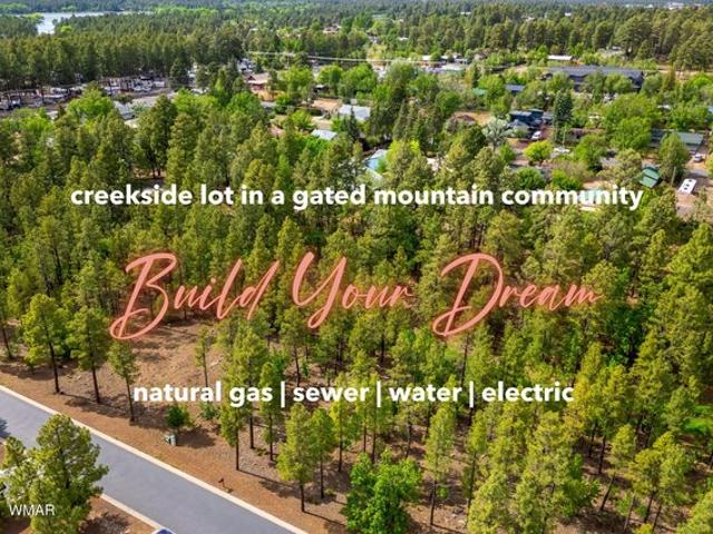 Land for sale in Navajo, Arizona