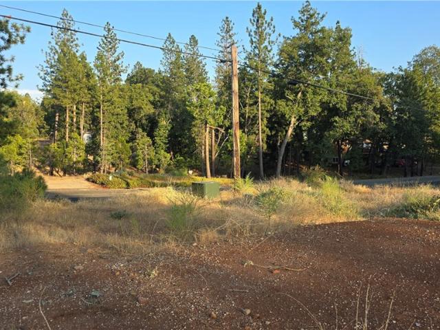 Land for sale in Butte, California