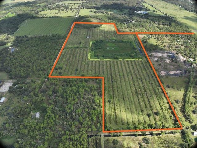 Land for sale in Labelle, Florida
