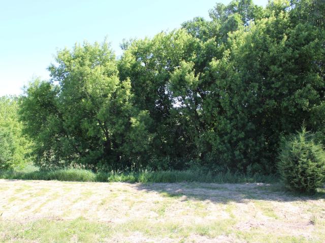 Land for sale in Mcleod, Minnesota