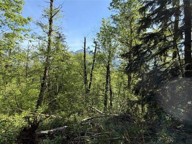 Land for sale in North Bend, King County
