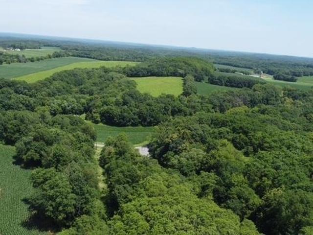 Land for sale in Juneau, Wisconsin