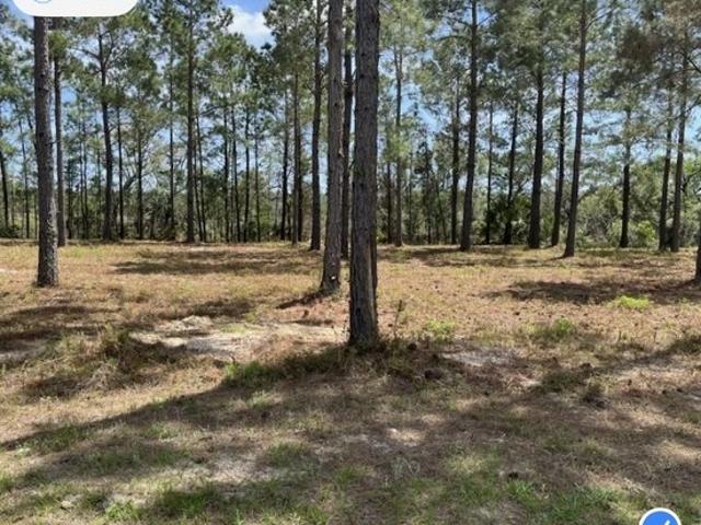 Land for sale in White Oak, Georgia