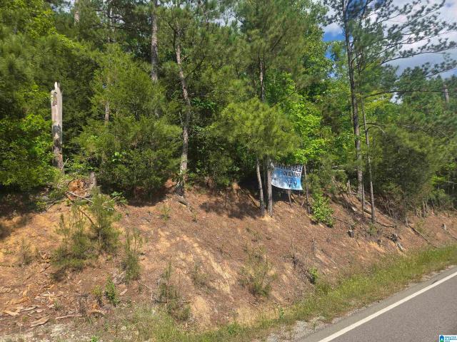 House for sale in Ohatchee, Alabama