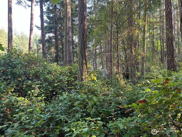 Land for sale in Washington