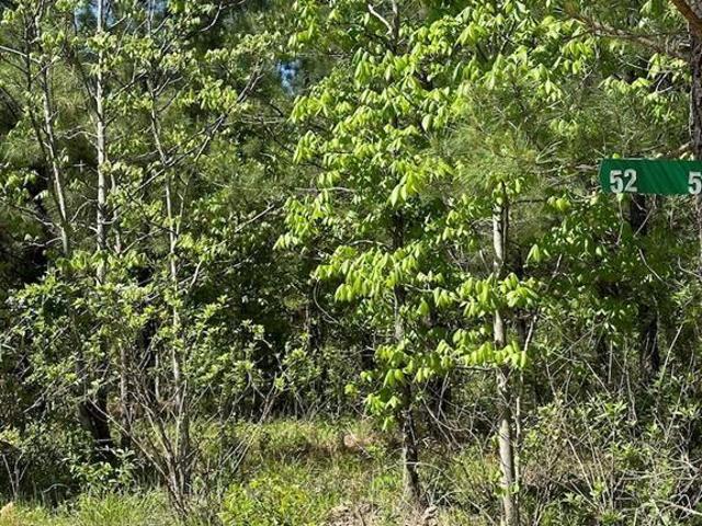 Land for sale in Broken Bow, Oklahoma