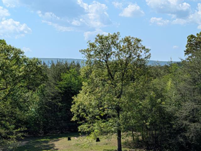 Land for sale in Spring City, East Tennessee