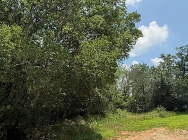 Land for sale in Elgin, Texas