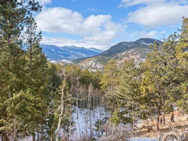 Land for sale in Bailey, Colorado