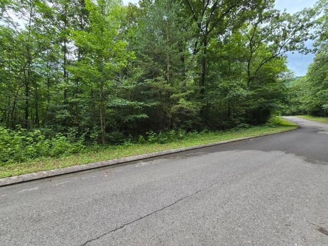 Land for sale in Tennessee