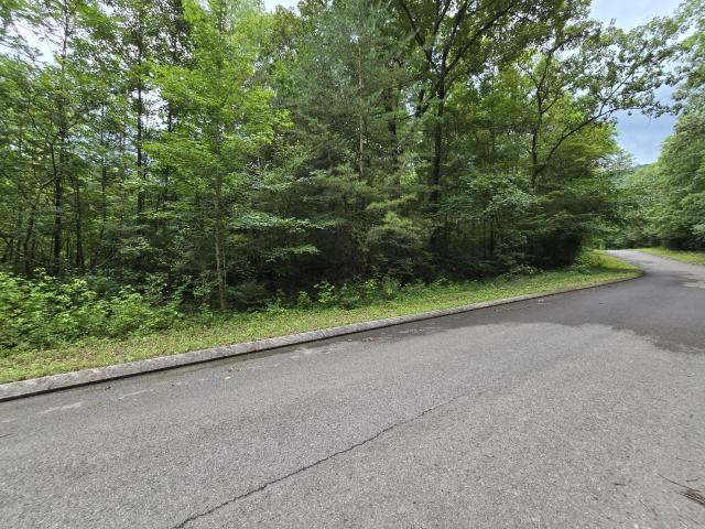 Land for sale in Tennessee