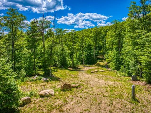 Land for sale in Essex, New York