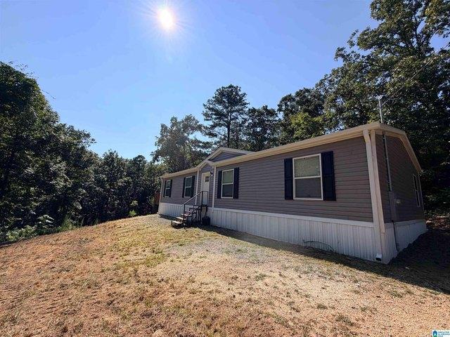 House for sale in Ashville, Alabama
