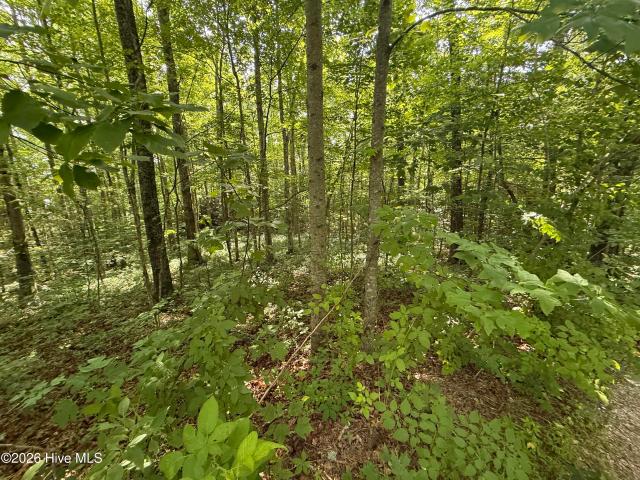Land for sale in Tennessee