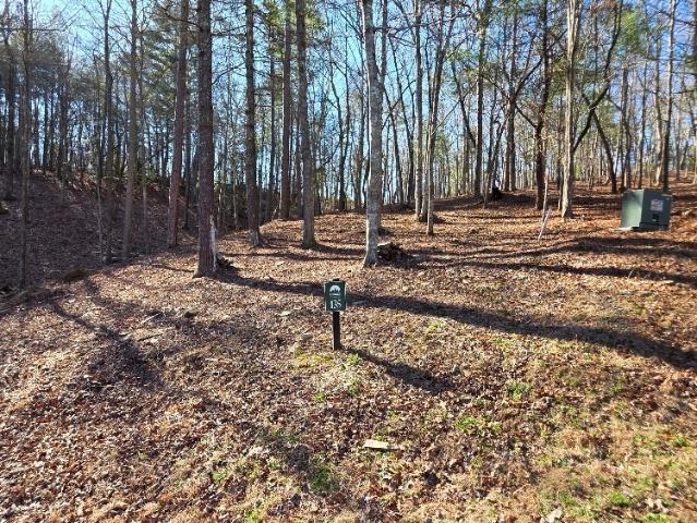 Land for sale in Gilmer, Georgia