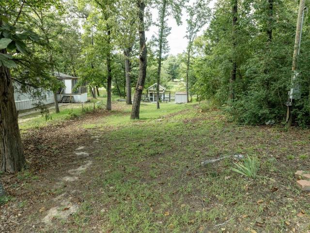 Land for sale in Ben Wheeler, Texas