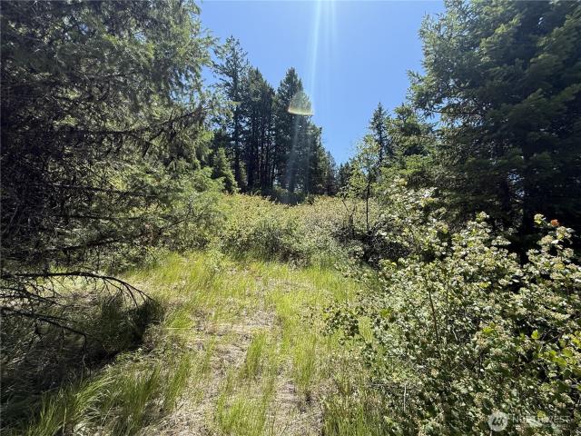 Land for sale in Republic, Washington