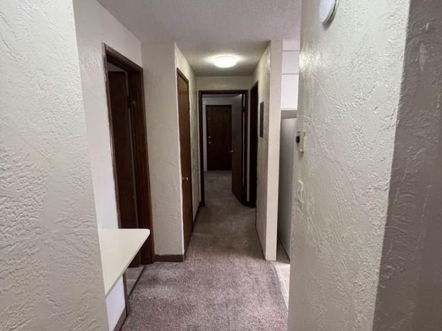 Apartment for rent in Oregonia