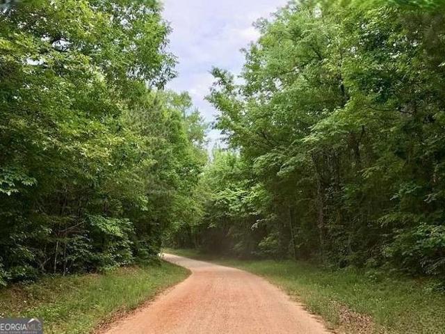 Land for sale in Rayle, Georgia