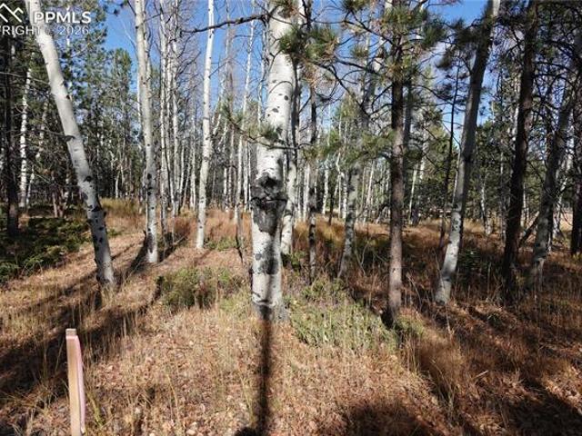 Land for sale in Teller, Colorado
