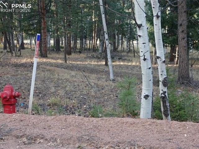 Land for sale in Teller, Colorado