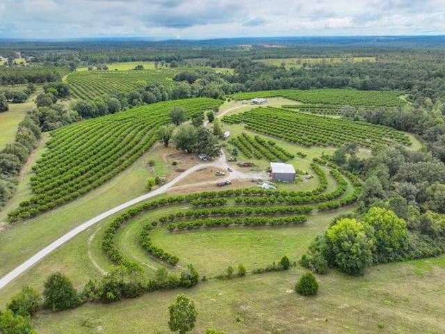 House for sale in Clanton, Chilton County