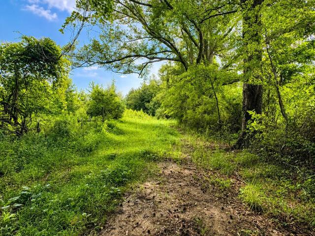 Land for sale in Terry, Mississippi