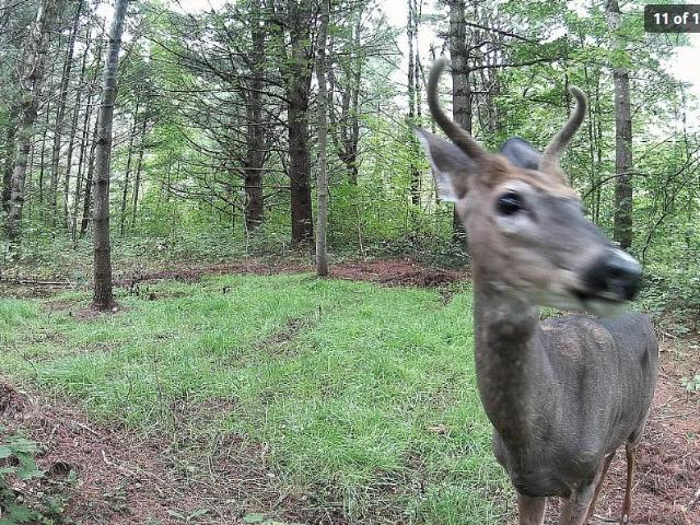 Land for sale in Diana, New York