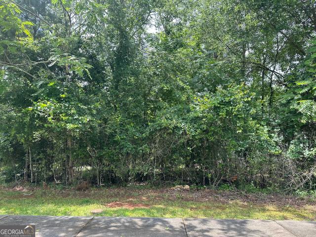 Land for sale in Madison, Georgia