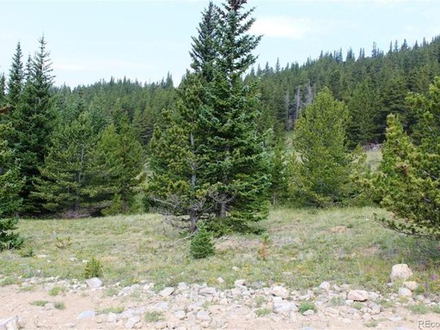 Land for sale in Clear Creek, Colorado