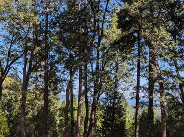 Land for sale in Nevada City, California