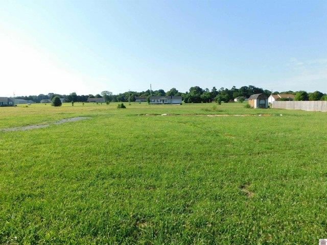 Land for sale in Ledbetter, Livingston County