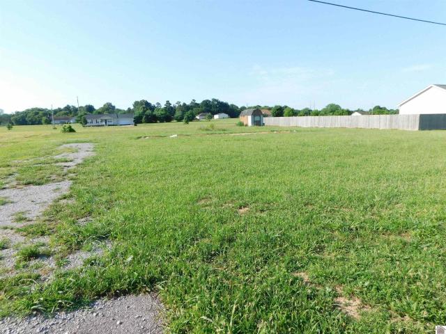 Land for sale in Smithland, Livingston County