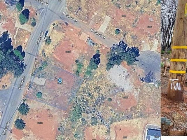 Land for sale in Butte, California