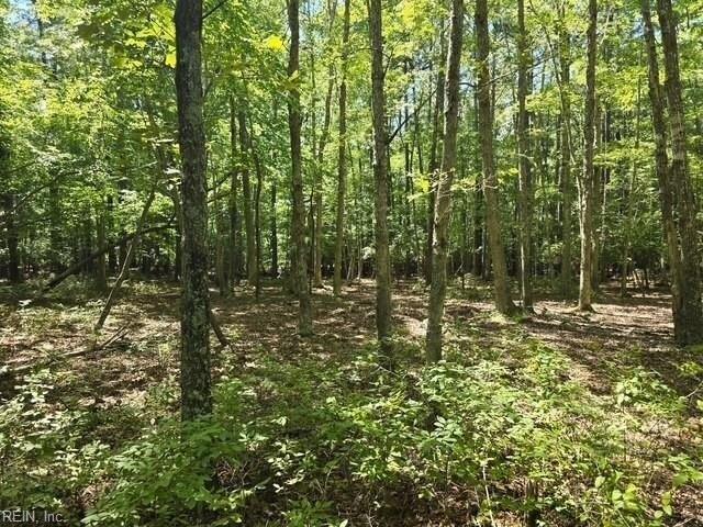 Land for sale in Virginia