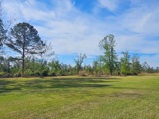 Farm for sale in Glennville, Georgia