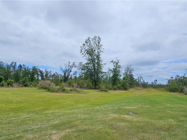 Land for sale in Glennville, Georgia